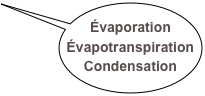 Évaporation
Évapotranspiration
Condensation